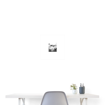 Poster 16x16 - white